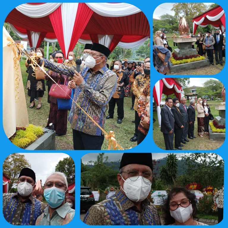 inCollage_20211031_194252541