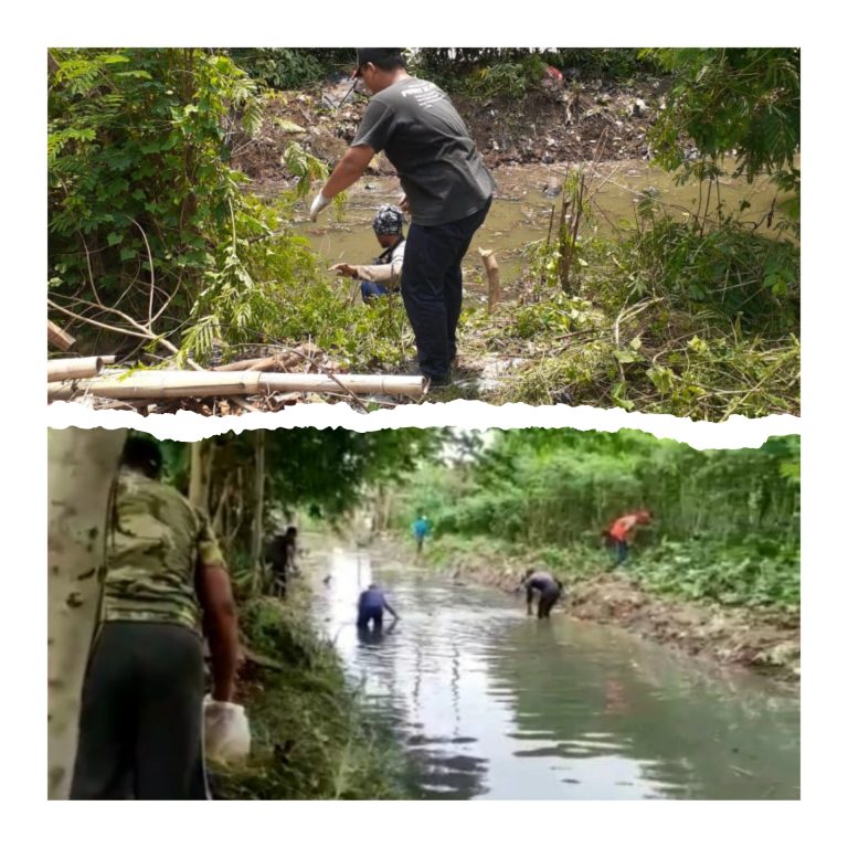 inCollage_20220221_000556280