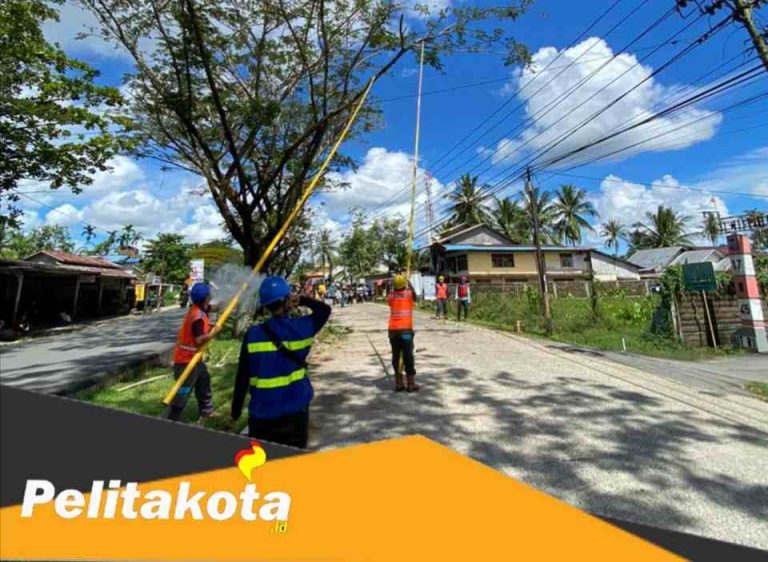 IMG_20230109_170111_compress79