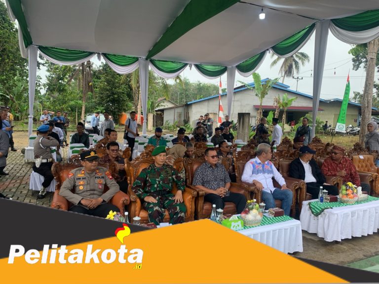 inCollage_20230109_002544287