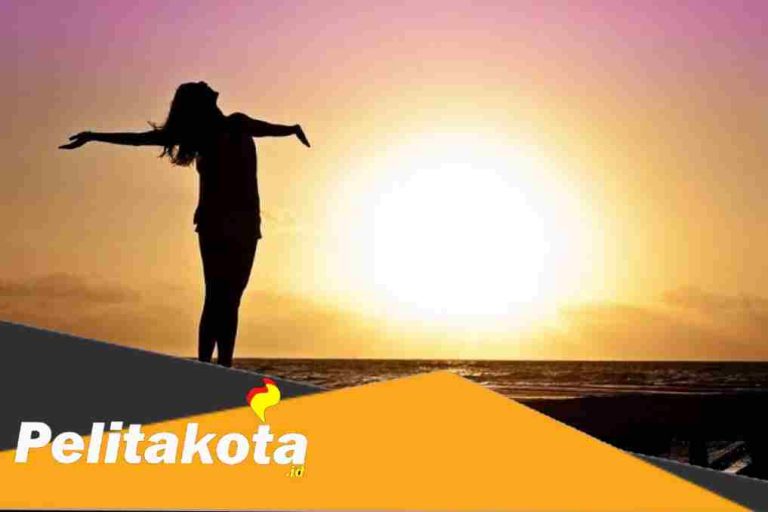 inCollage_20230126_074012137_compress92