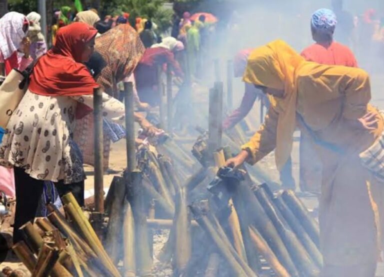 WhatsApp Image 2024-04-12 at 09.10.46