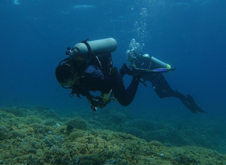 WhatsApp_Image_2024-04-06_at_01_14_48_(1)