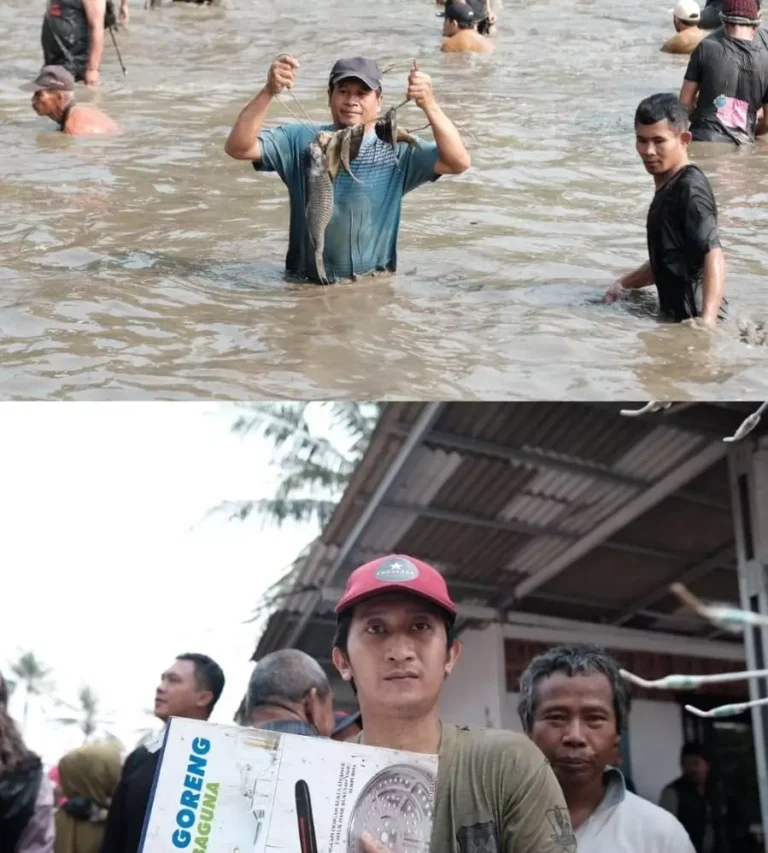 nP80Otmk0jODdPB0zDOWnGVWsvTnMr8oqhMk1U8A