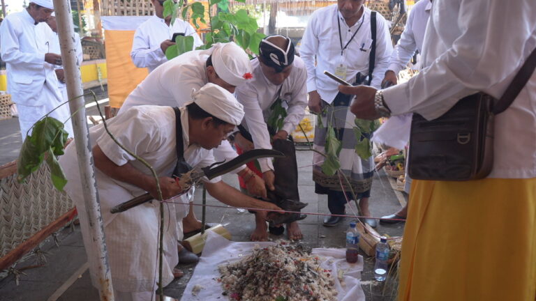 54_setelah-tiga-puluh-tahun-tawur-agung-dan-pecaruan-wrespati-kalpa-di-pura-ponjok-batu-kembali-digelar