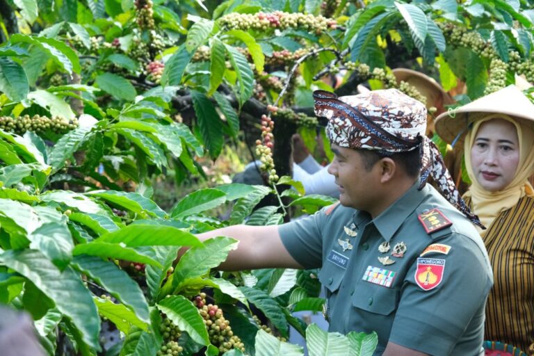 IMG-20240730-WA0024-1024x682