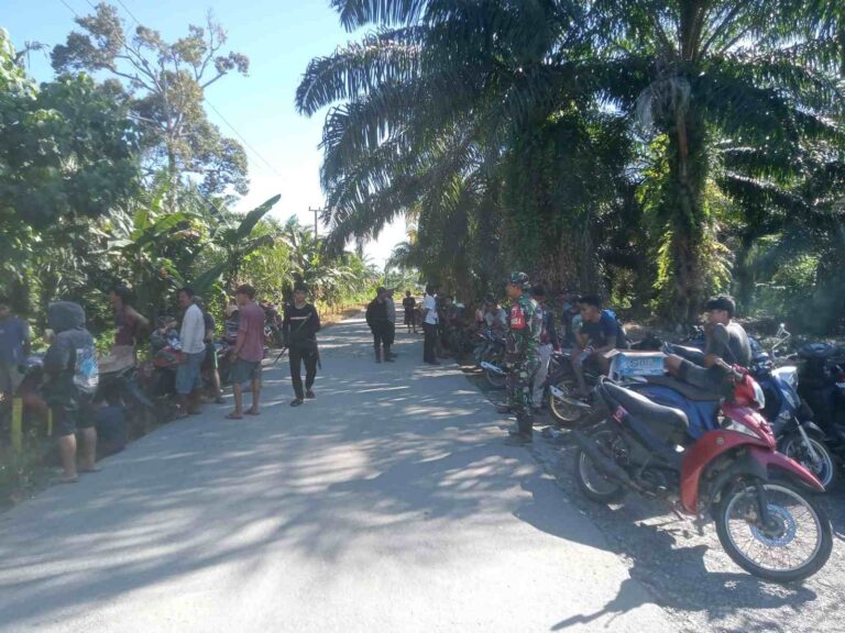 IMG-20240814-WA0047_compress33