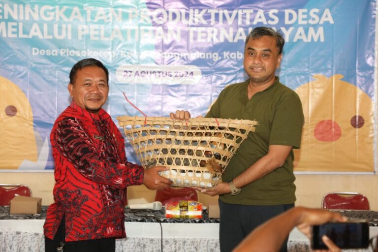 Pelatihan-Ayam-Plosokerep3-1024x682