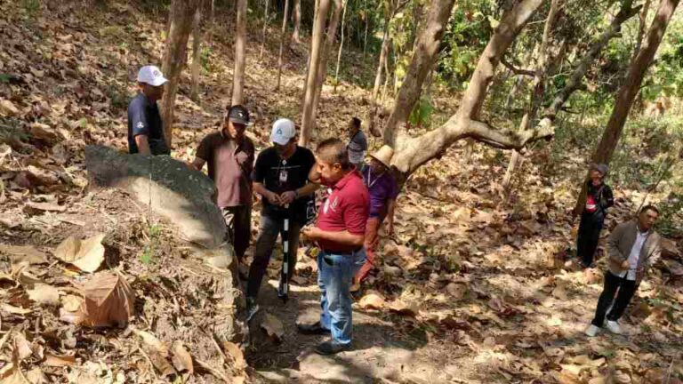 CREATOR: gd-jpeg v1.0 (using IJG JPEG v62), quality = 82?