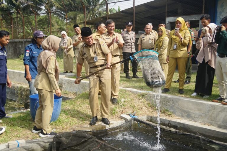 670e3596c1206_1728984470