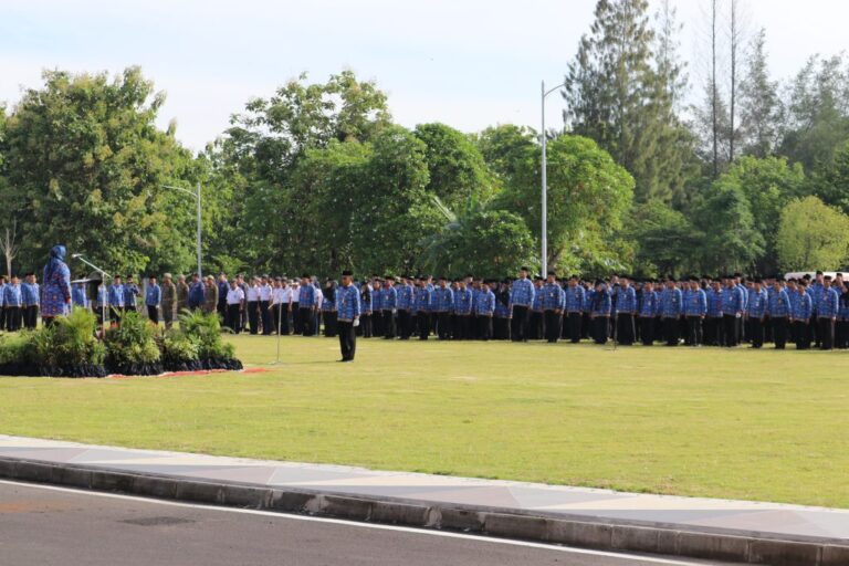 WhatsApp-Image-2025-01-17-at-10.16.08-1024x682