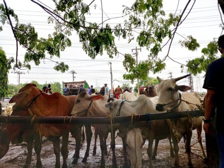 WhatsApp-Image-2025-01-17-at-13.56.32-1024x768