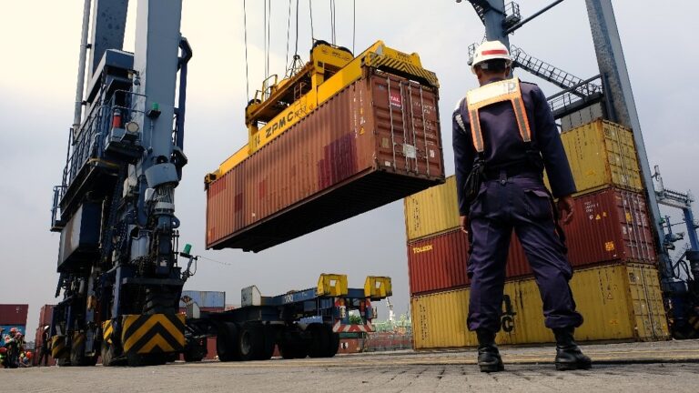 WhatsApp_Image_2025-01-08_at_14_08_43