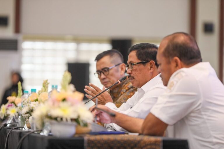 IMG-20250212-WA0204-1024x683