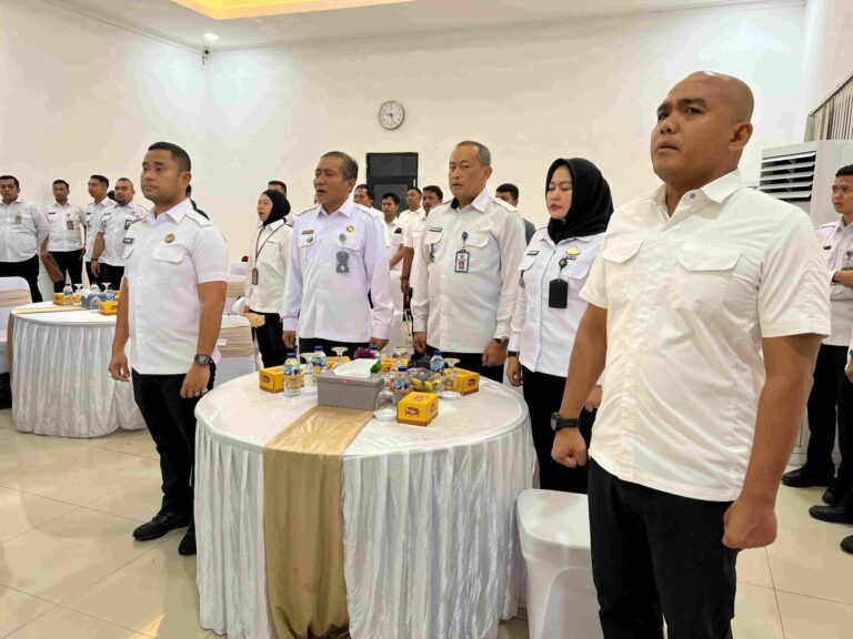 IMG-20250219-WA0107_compress21