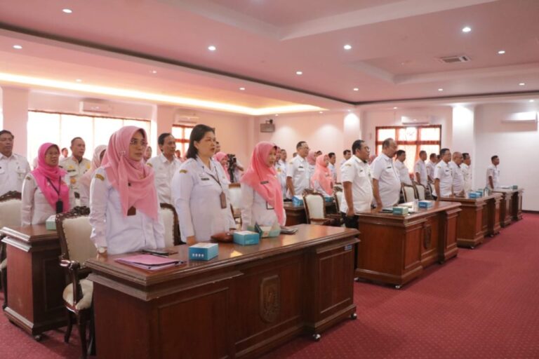 WhatsApp-Image-2025-02-12-at-12.29.36-1024x683