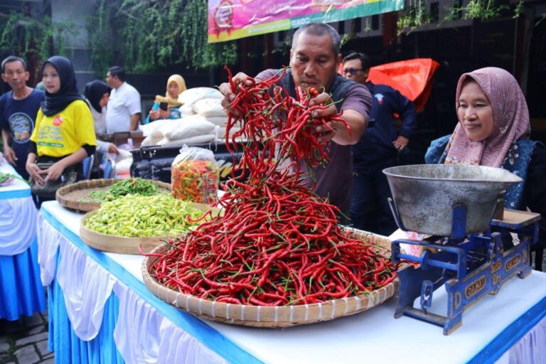 2025-3-7-GPM-Dispertan-2-1024x683