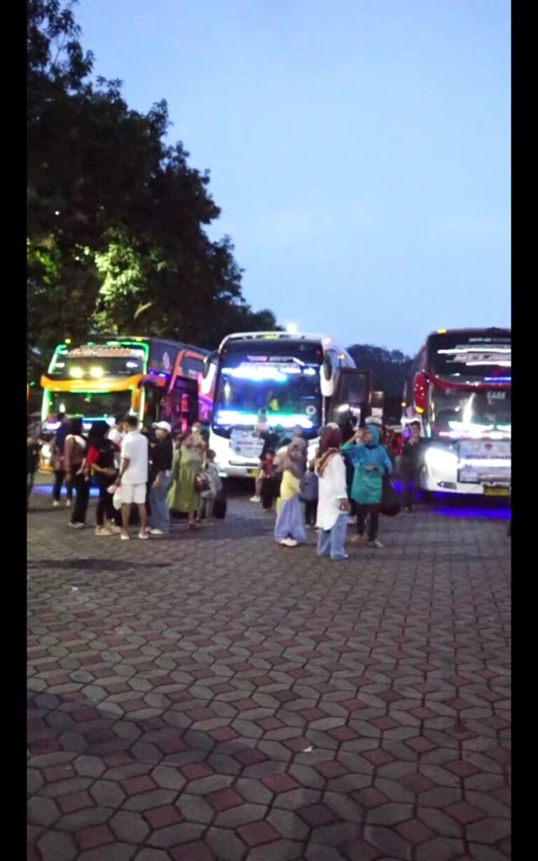 Screenshot_20250328_203336_com.whatsapp.w4b