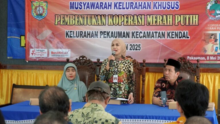 WhatsApp-Image-2025-05-08-at-13.24.37-1024x576