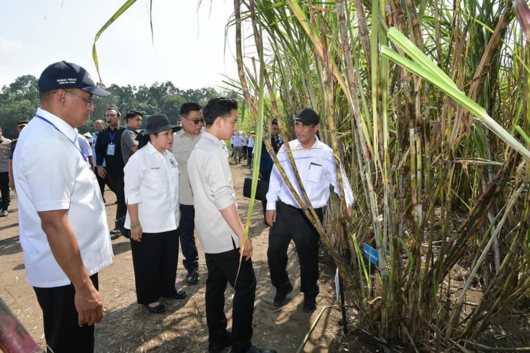 FB_IMG_1752052226048