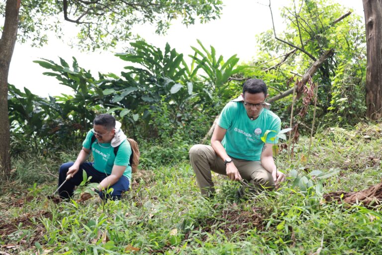 Karyawan B. Braun Indonesia sedang melakukan penanaman pohon endemik