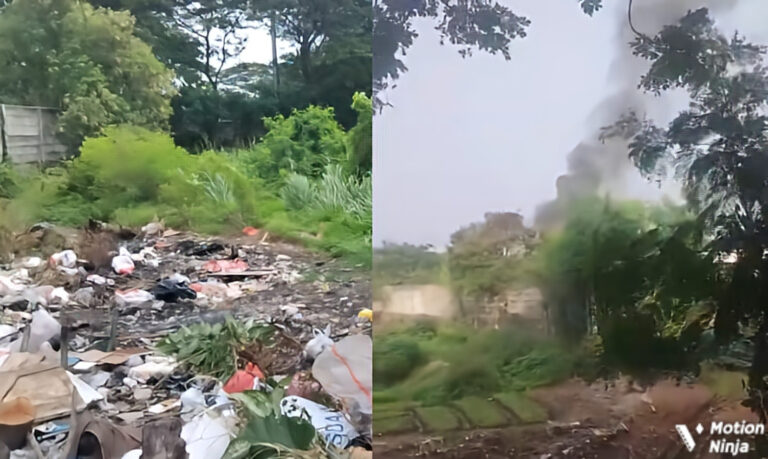 MotionNinja_20251227130338