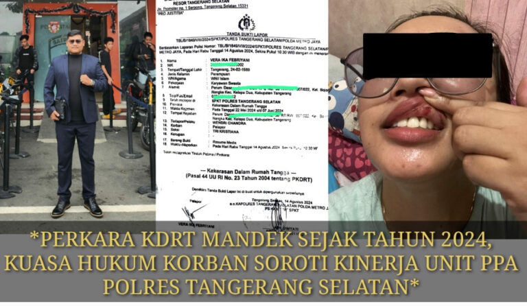 Gallery_1771061340462