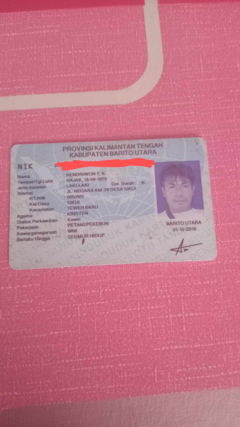 IMG-20260223-WA0024 (1)