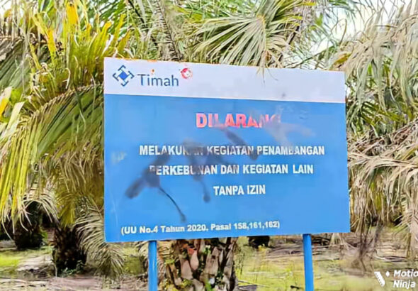 MotionNinja_20260410130603