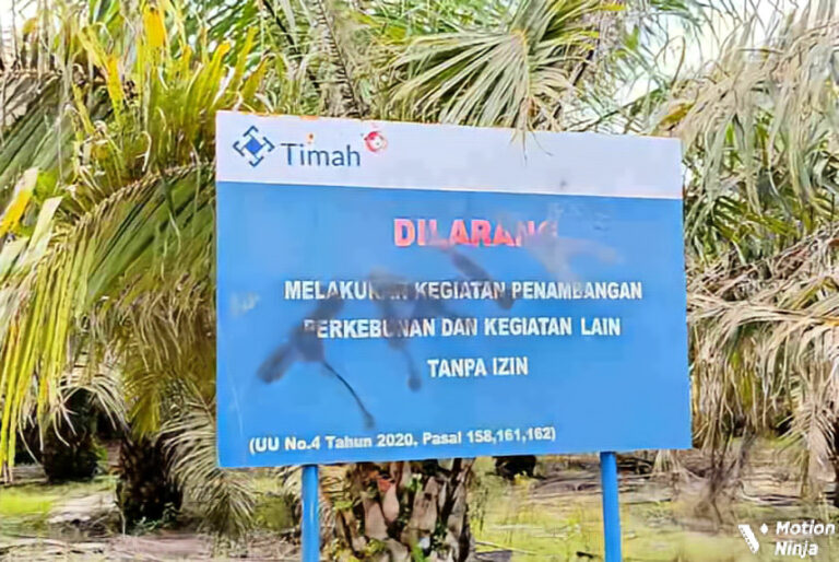 MotionNinja_20260410130603