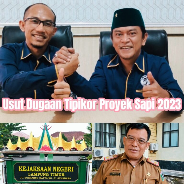 WhatsApp Image 2026-06-04 at 09.09.10