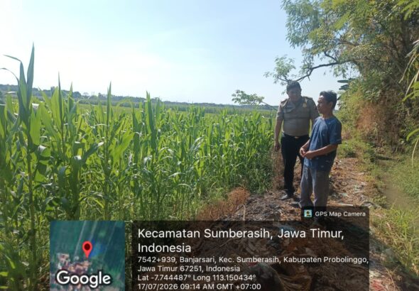 WhatsApp Image 2026-07-18 at 09.11.22